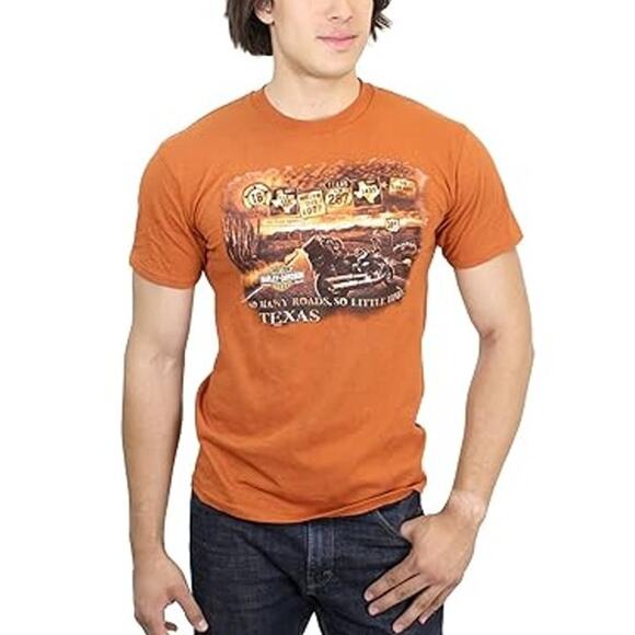 Harley Davidson Motorcycles Texas Barnet T Shirt Sz L Graphic Biker Rebel Grunge - Picture 2 of 6